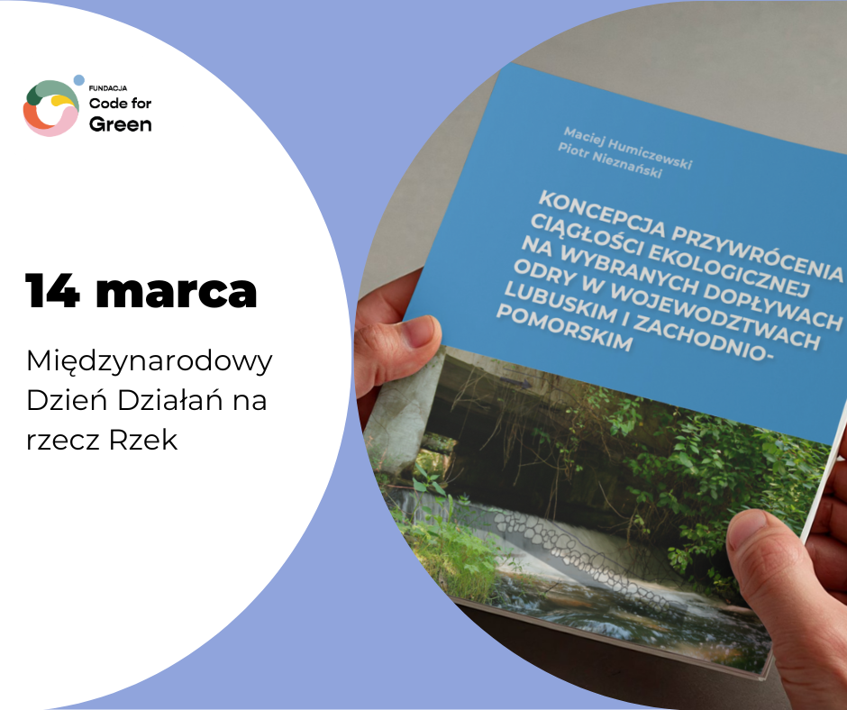 Grafika aktualności 